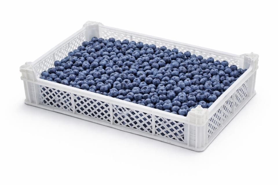 Plastic Crate 40 × 60 × 6 cm