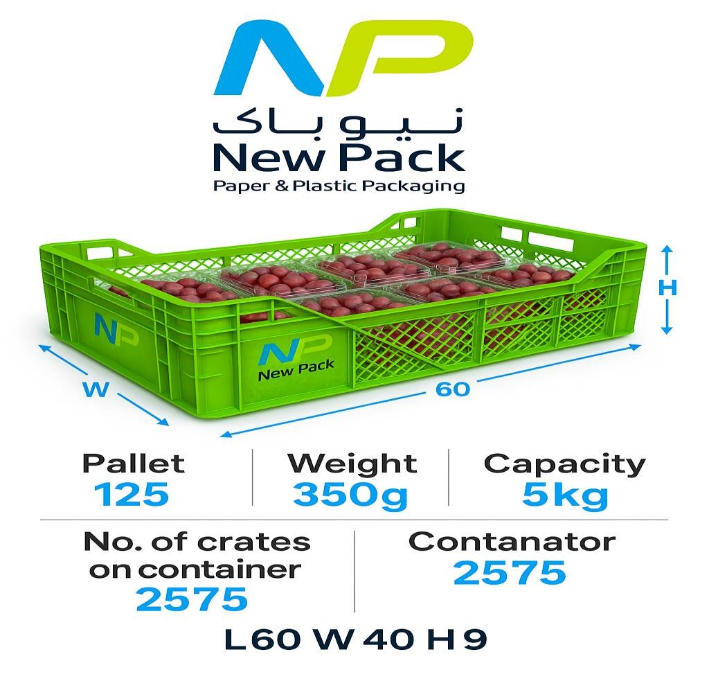 Plastic Crate 40 × 60 × 9 cm